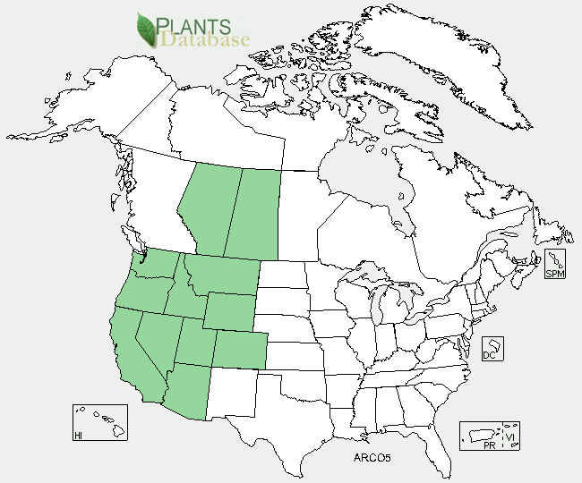 Arenaria range map